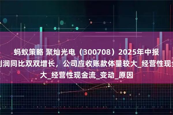 蚂蚁策略 聚灿光电（300708）2025年中报简析：营收净利润同比双双增长，公司应收账款体量较大_经营性现金流_变动_原因